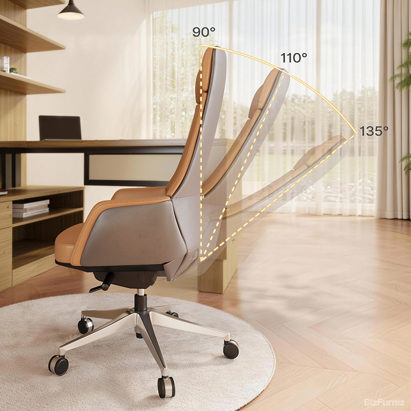 Reclining Backrest