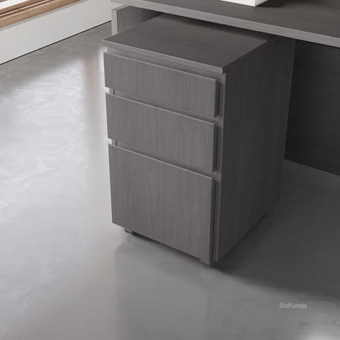 Office Desk with Mobile Storage Cabinet