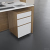 Mobile Drawer Cabinet Under Reception Desk